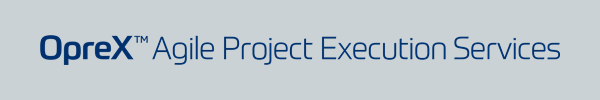 Agile Project Execution Services
